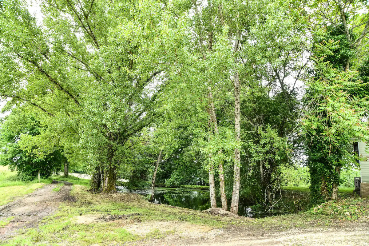 Gite du Pigeonnier, Mensignac - photo 6