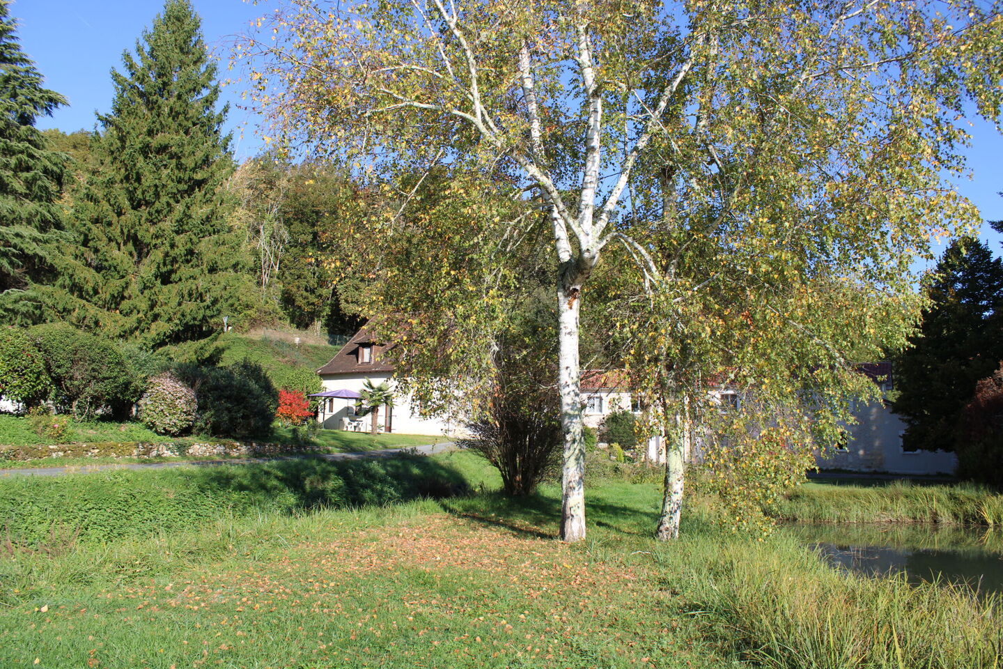 Gîte de l'Olivier, Bourgnac - photo 7