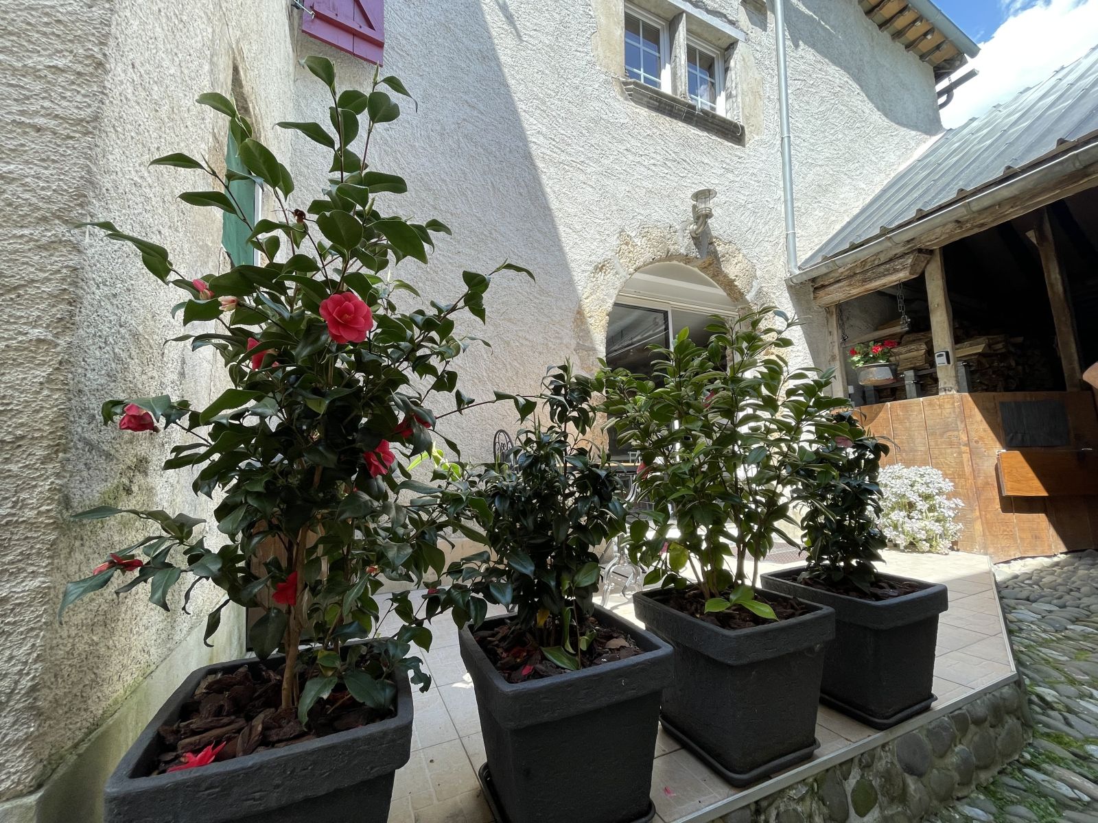 Gîte l'écurie, Bedous - photo 2