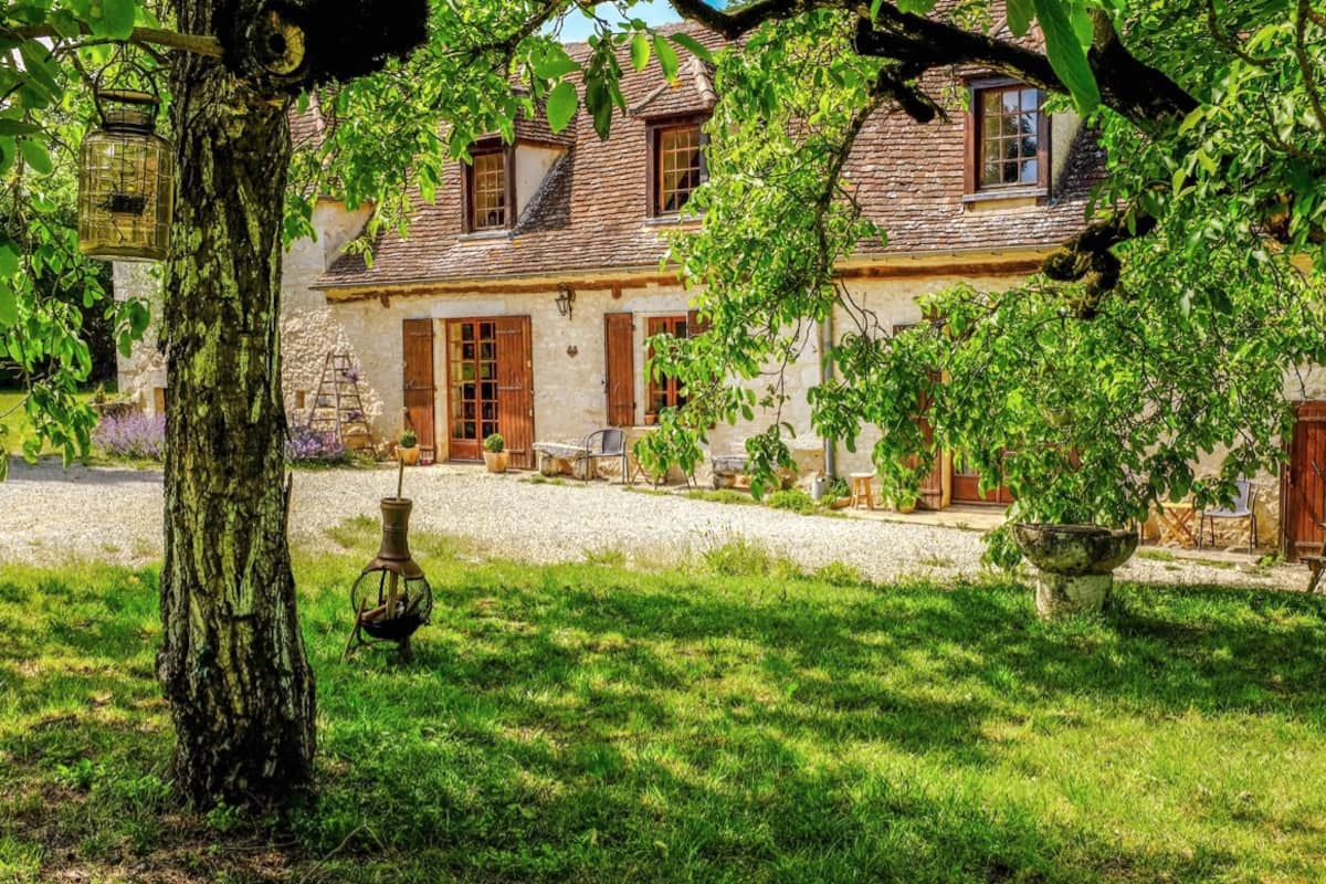 Gite l'Ours et son petit oiseau