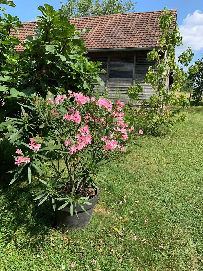 Gite La Terrière, Peyzac-le-Moustier - photo 6