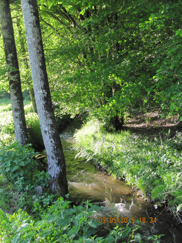 Le Nadalou, Monceaux-sur-Dordogne - photo 10