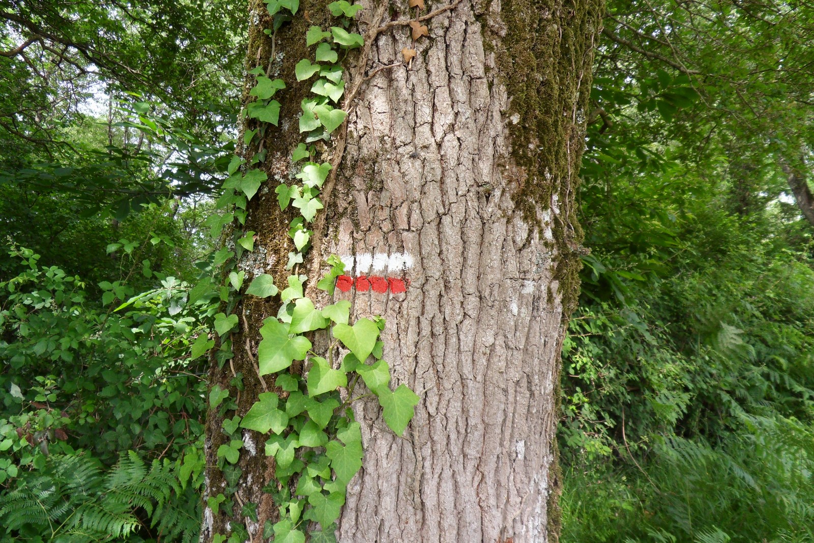 Gîte communal d'Aroue, Aroue-Ithorots-Olhaïby - photo 5