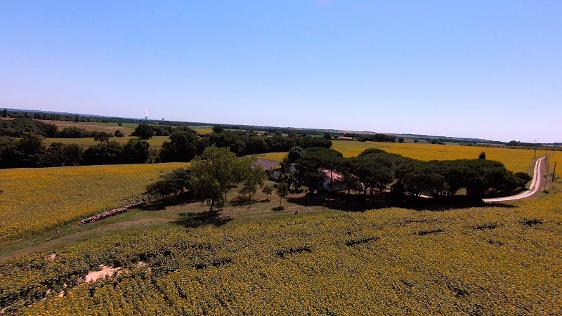 Gîte L'Estressol, Cuq - photo 2