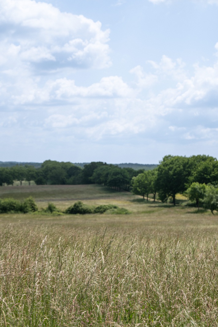 Gite de la Verrerie, Eygurande-et-Gardedeuil - photo 11