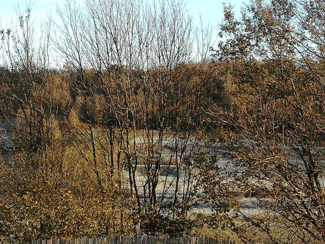 La belle Campagne, Granges-d'Ans - photo 2