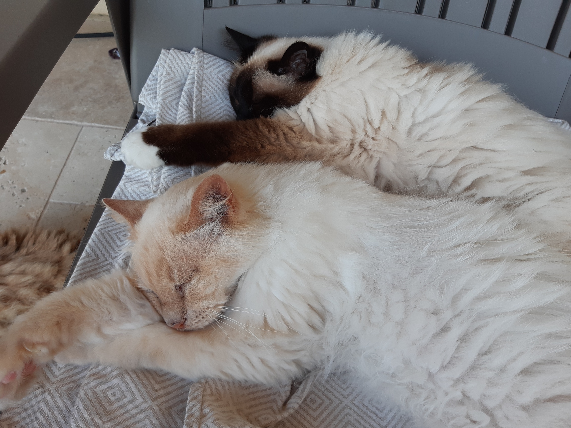 Gîte les Oiseaux de Préchac, Préchac - photo 10