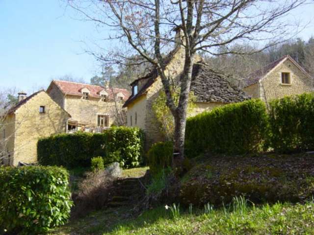 Gîtes La cantharide - La Salamandre