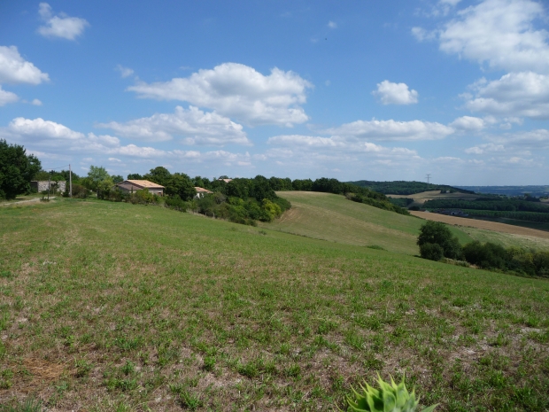 Gîte Ferme du Temple, Grateloup-Saint-Gayrand - photo 6