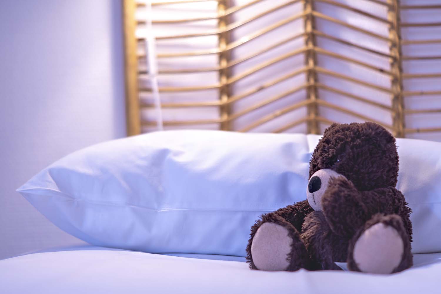 Le Gîte Prairie - photo 3