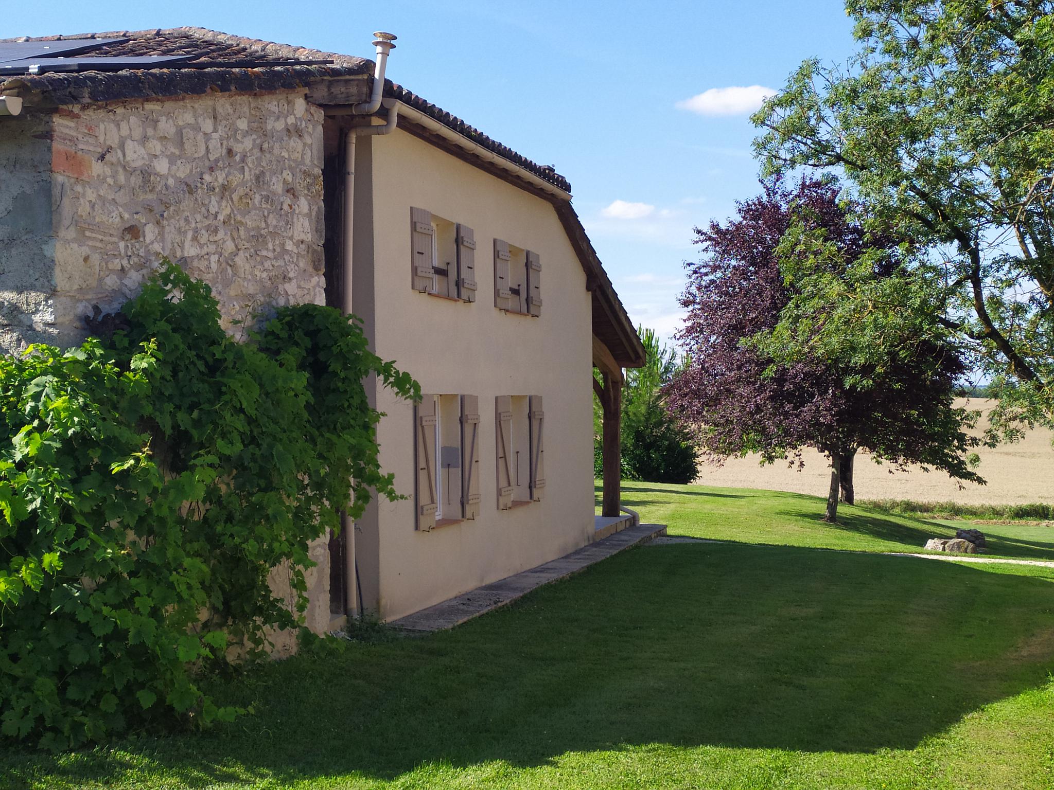 Gîtes de Nicou - L'Auvent, Monflanquin - photo 16