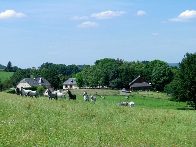 SARL Ferme Équestre du Mialaret - Gîte d'Étape 8 personnes, Camps-Saint-Mathurin-Léobazel