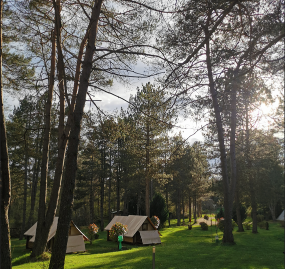 Camping les Sapins de Corrèze - photo 2