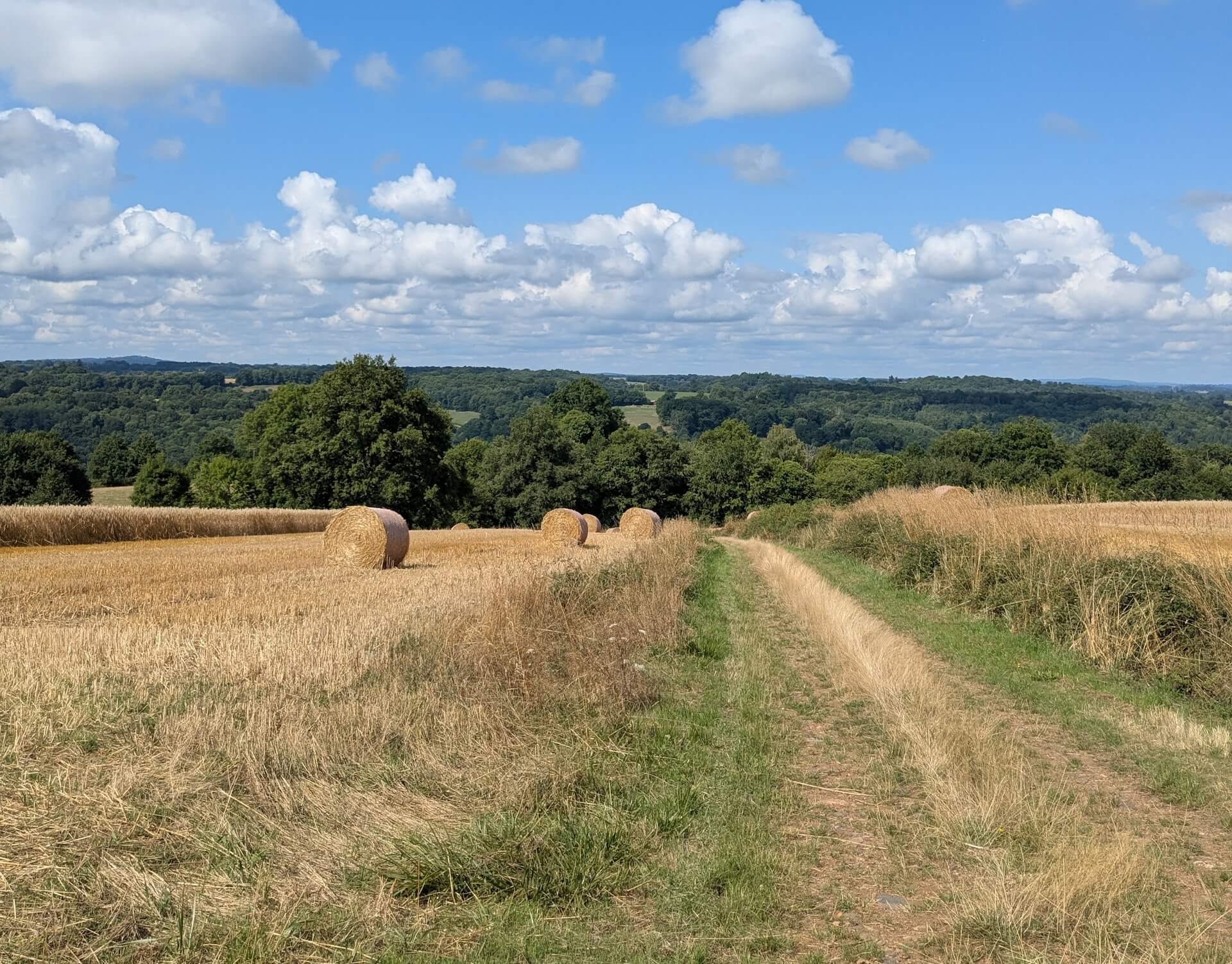 Sentier "Le Theillaumas", Glanges - photo 9