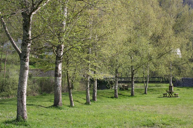 Aire de Pique-Nique du Gléré de Pon