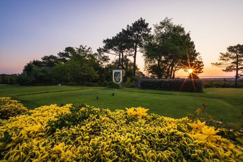 Open Golf