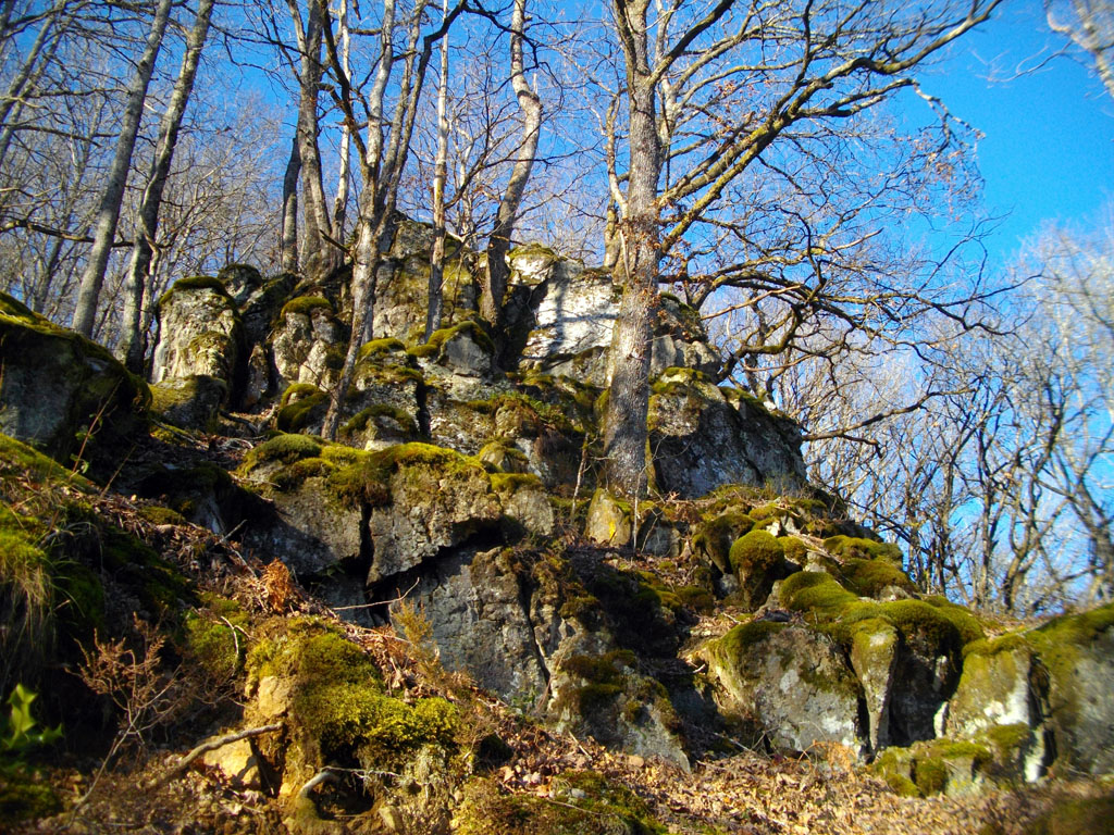 Sentier des gorges, Sérandon - photo 4