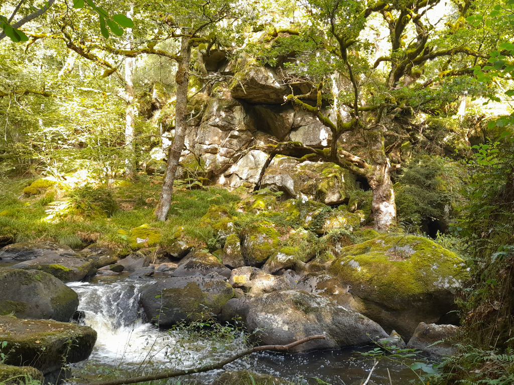 RANDO "Le Gour de Vaux", Vallière