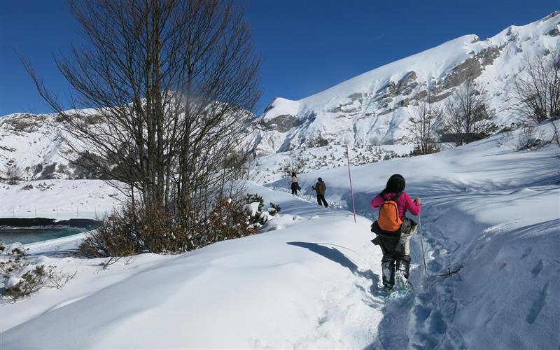 Circuits Raquettes en station (sur le domaine skiable)