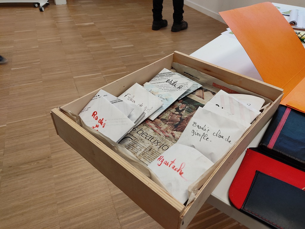 La Grainothèque de la Médiathèque