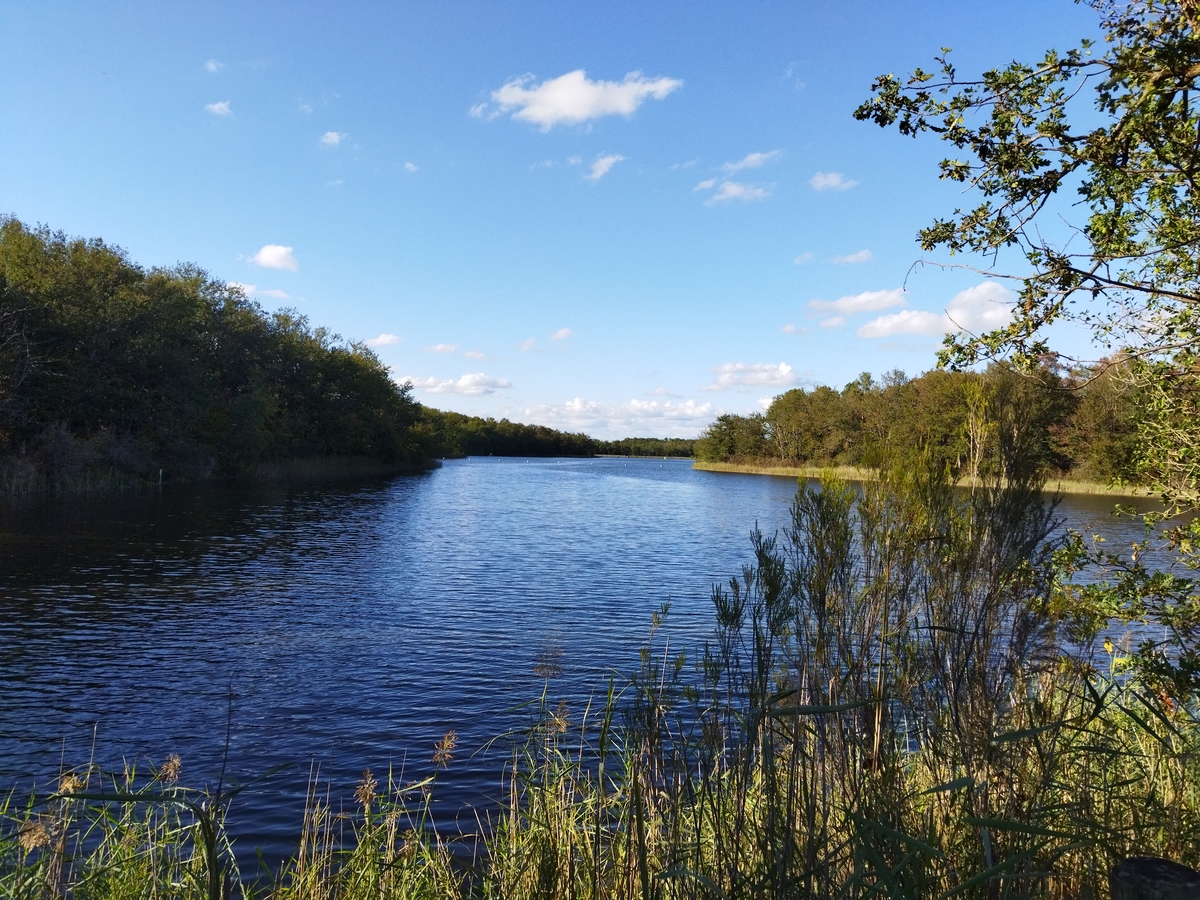 Les Etangs de la Jemaye, La Jemaye-Ponteyraud - photo 28