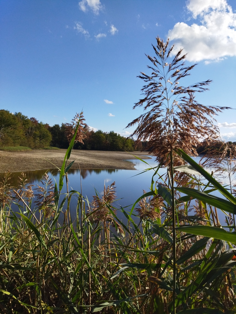 Les Etangs de la Jemaye, La Jemaye-Ponteyraud - photo 29