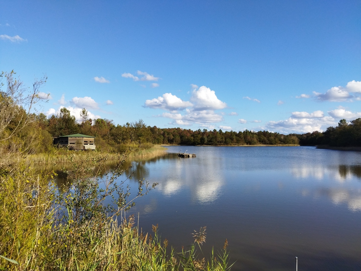 Les Etangs de la Jemaye, La Jemaye-Ponteyraud - photo 32