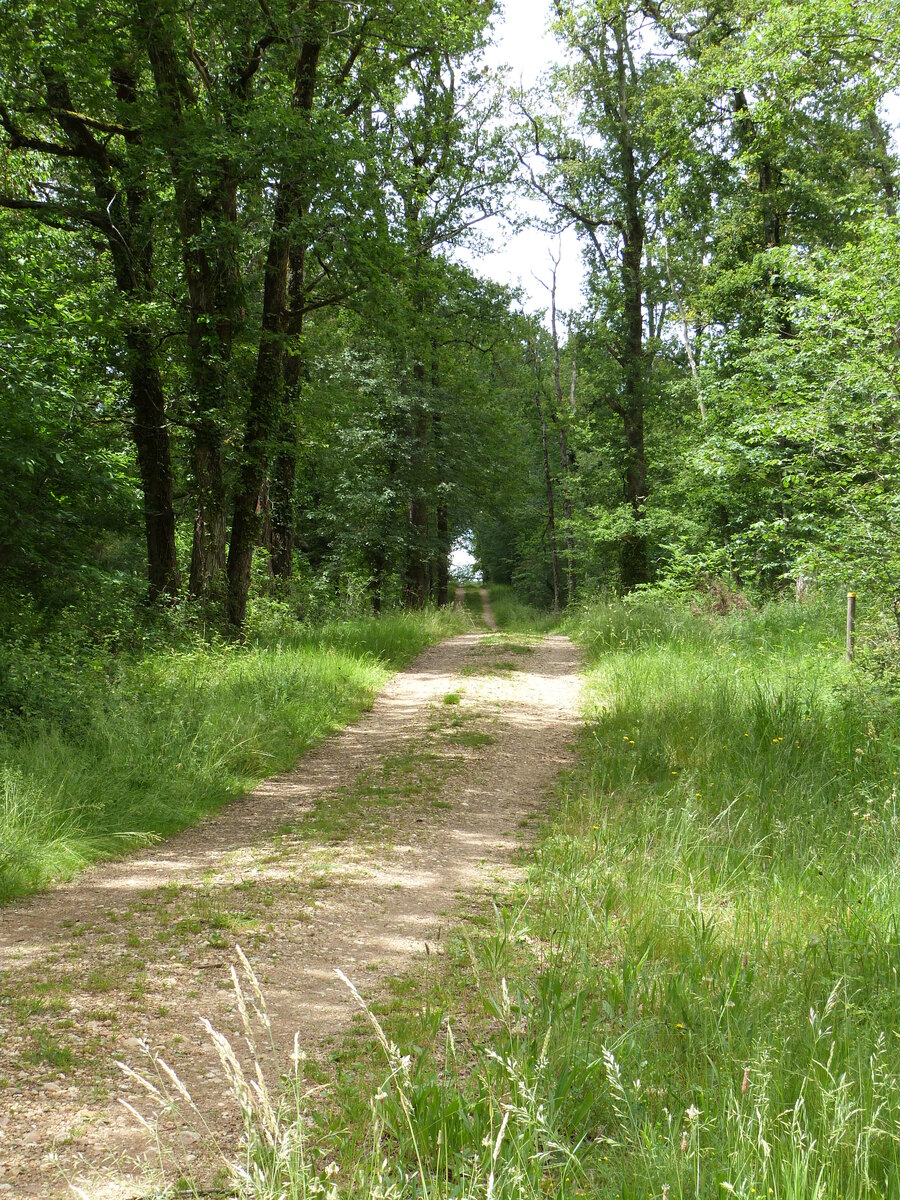 Les Etangs de la Jemaye, La Jemaye-Ponteyraud - photo 31