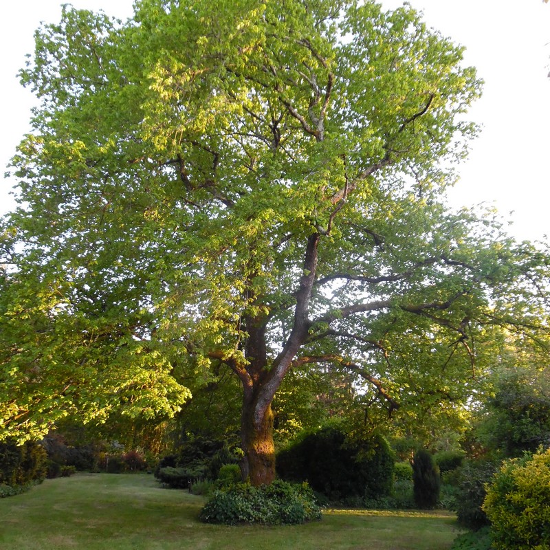 Gîte l'Escapade, Civrac-de-Blaye - photo 2
