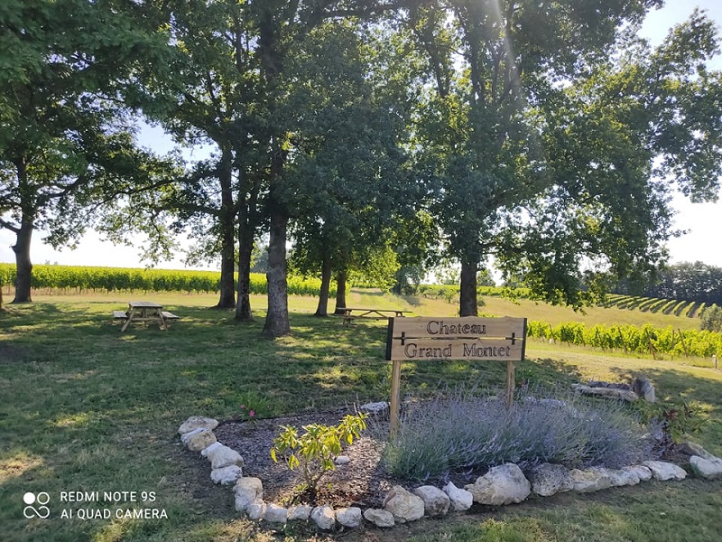 Château Grand Montet - photo 4