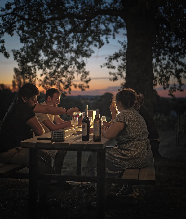 Château Grand Montet - photo 2