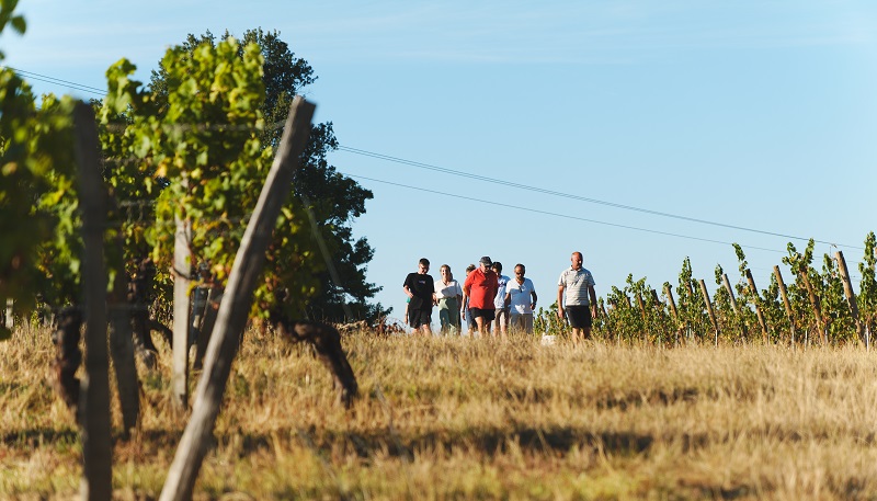 Château Grand Montet