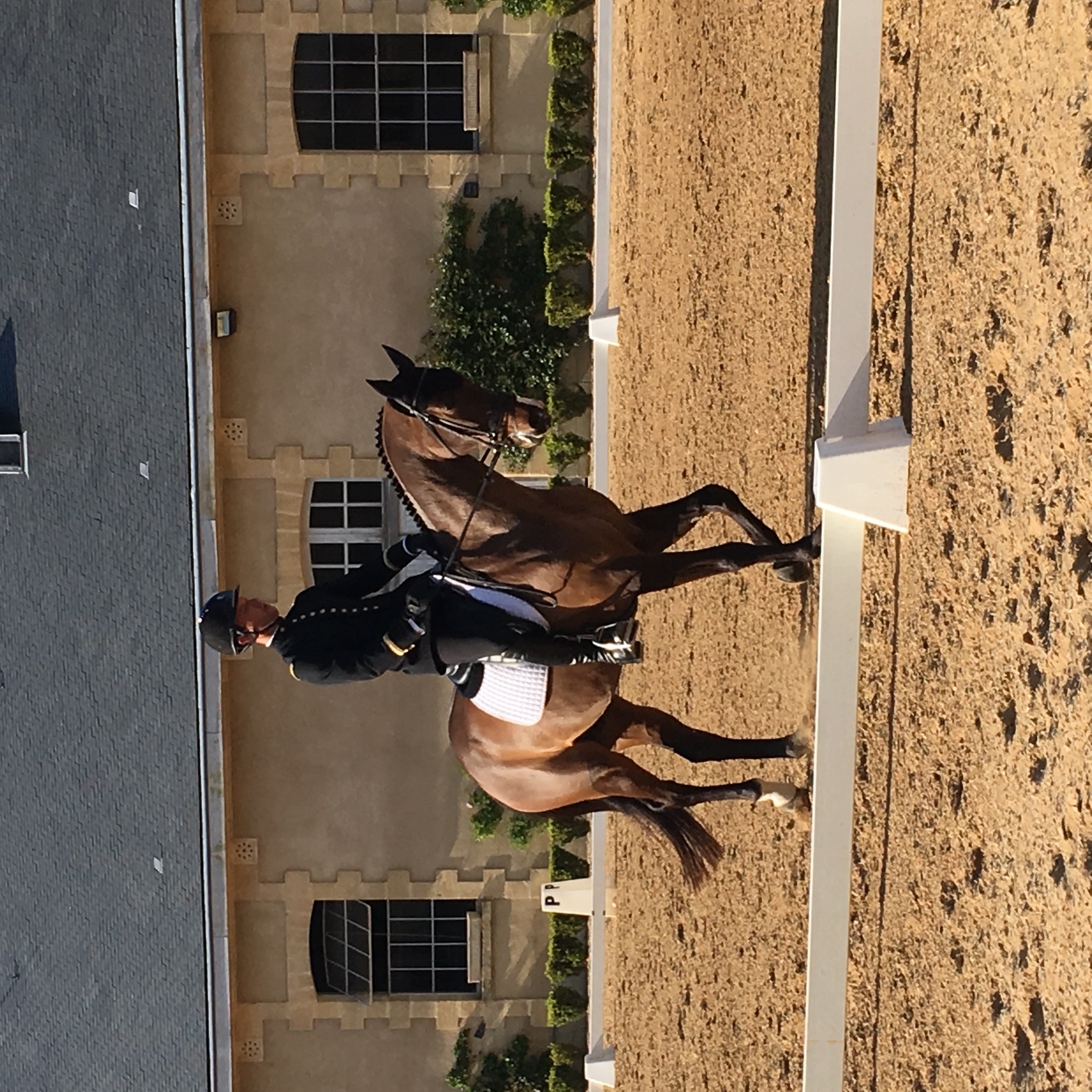 Visite - découverte du Concours Complet d'Equitation - photo 3