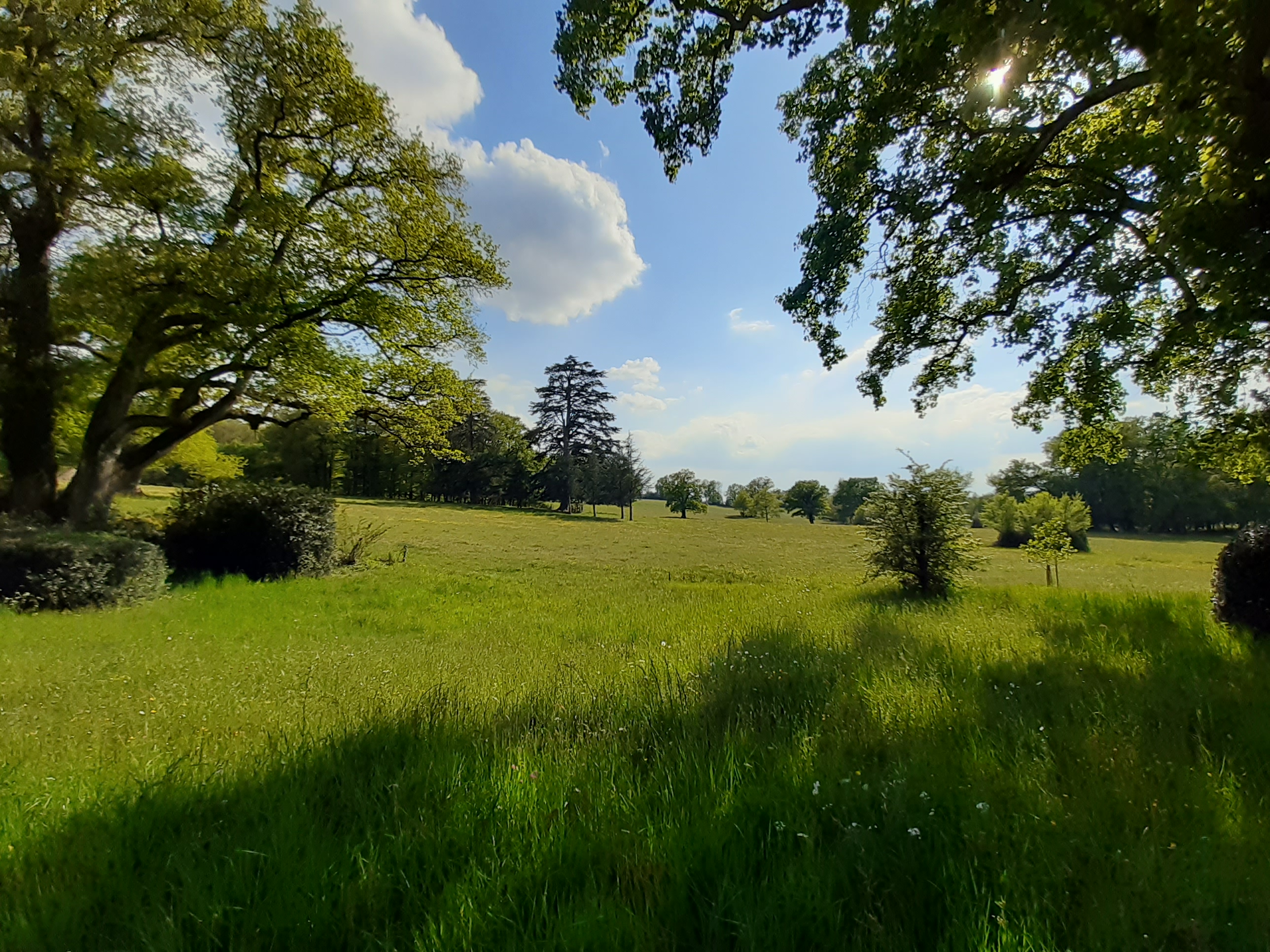 Domaine des Roches Blanches, Le Pin - photo 16