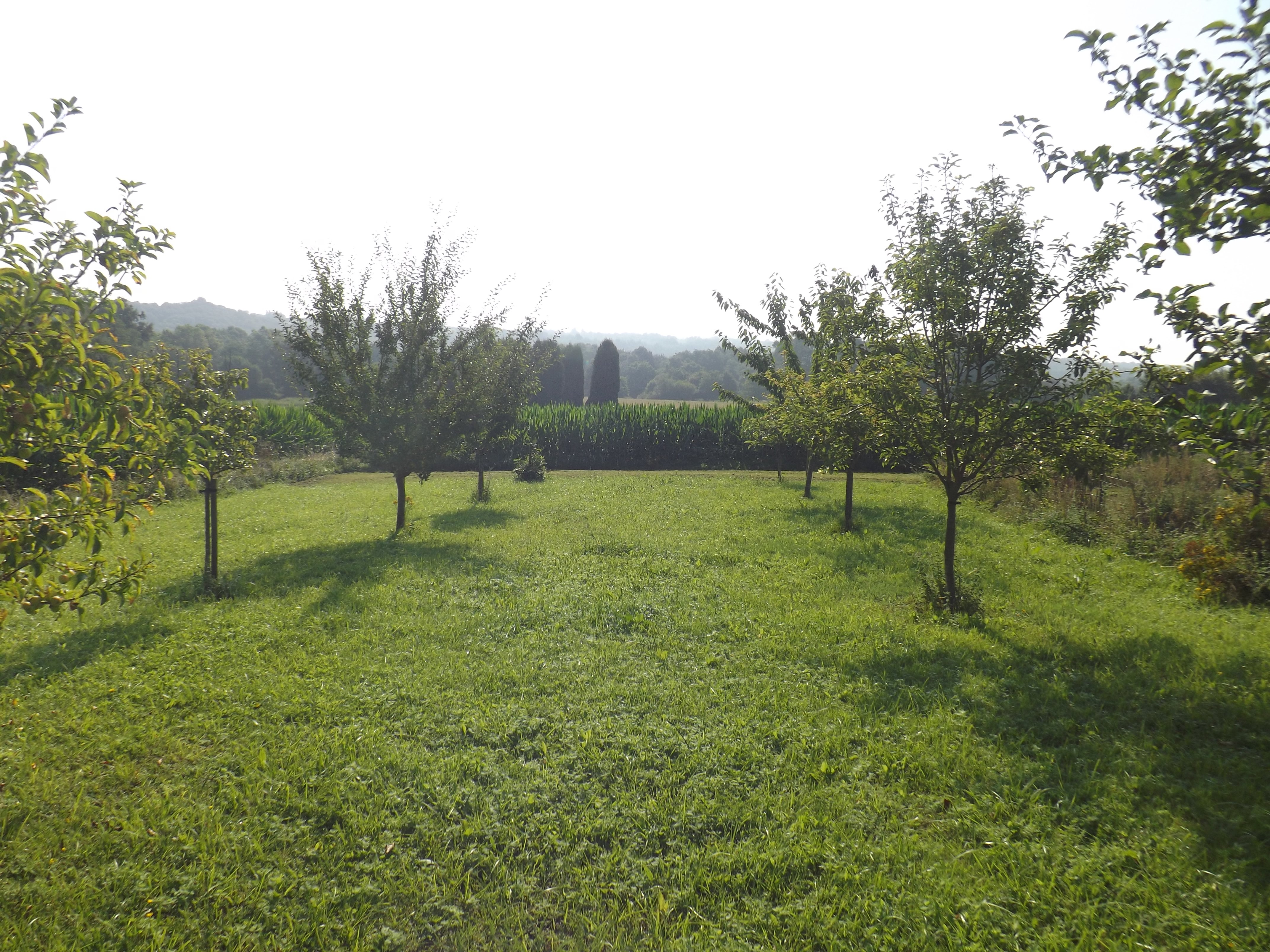 Chambre d'hôtes Le Grand Larrocq