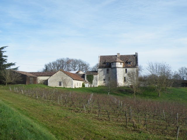 A vélo autour de Monbazillac, Monbazillac - photo 6