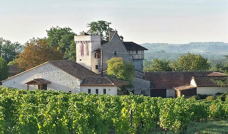 Château Grande Maison - photo 4