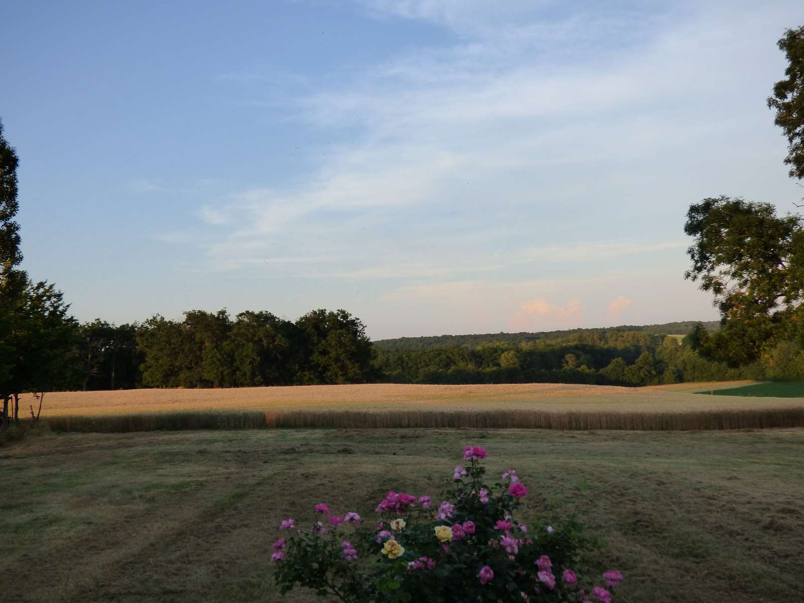 Gite Les Grandes Plantes, Pardaillan - photo 14
