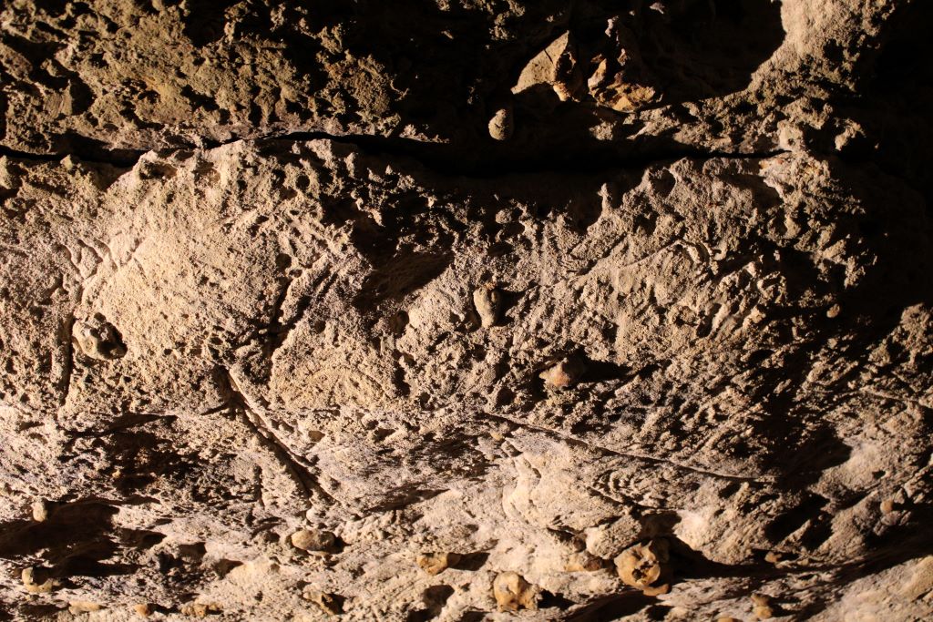 Grotte de Bara Bahau - Le Sanctuaire de l'Ours