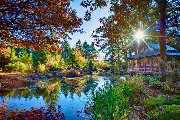 Jardin Fukutsu-En - Rendez-vous aux jardins — visuel événement