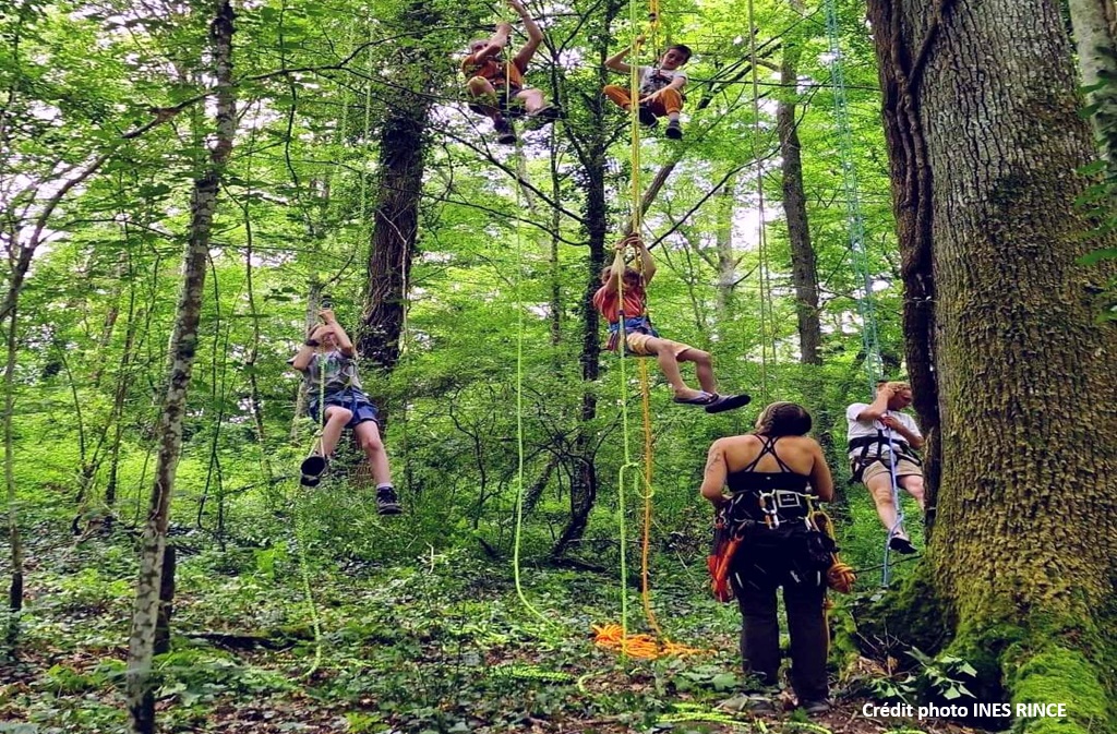 Fête du Canal | Grimp' d'arbre