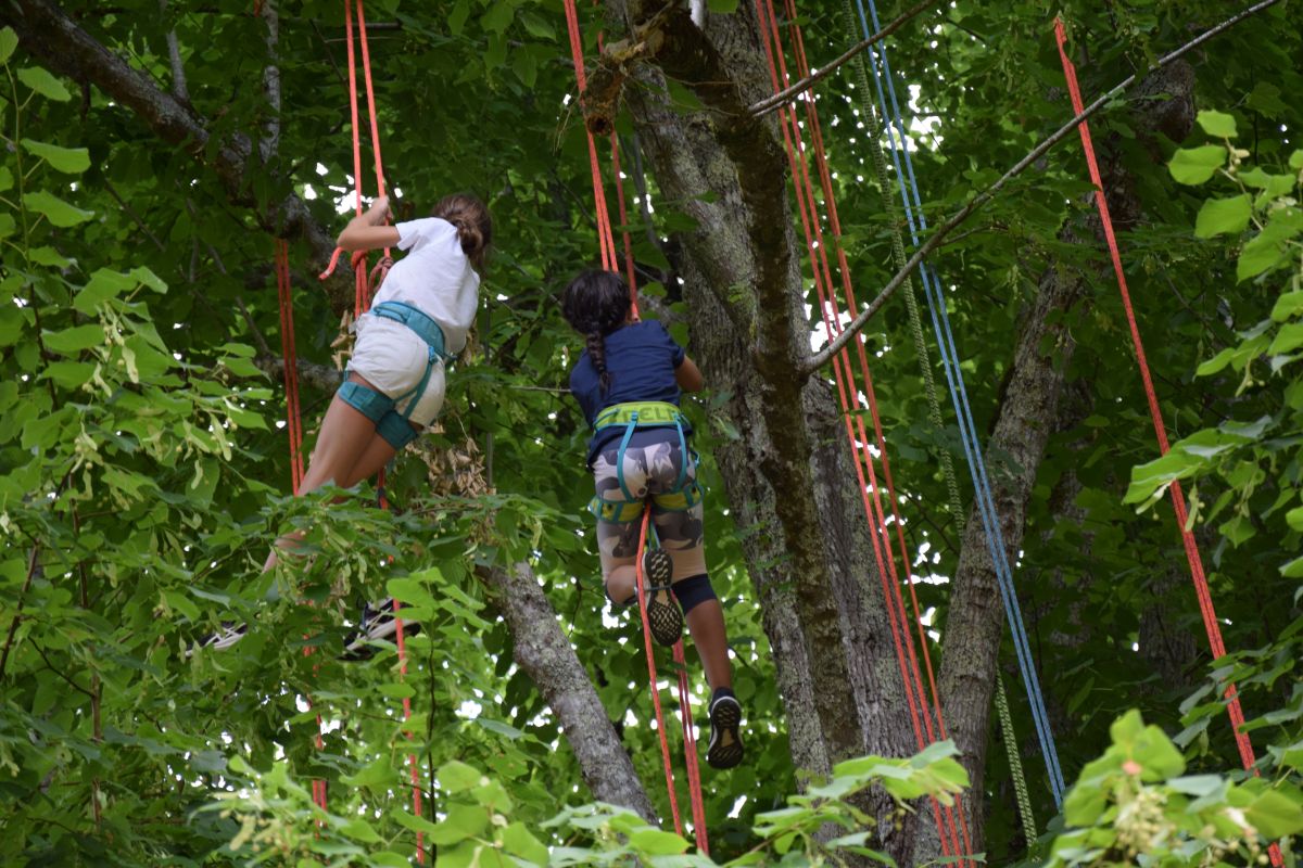 Eté actif : Grimpe d’arbre — visuel événement