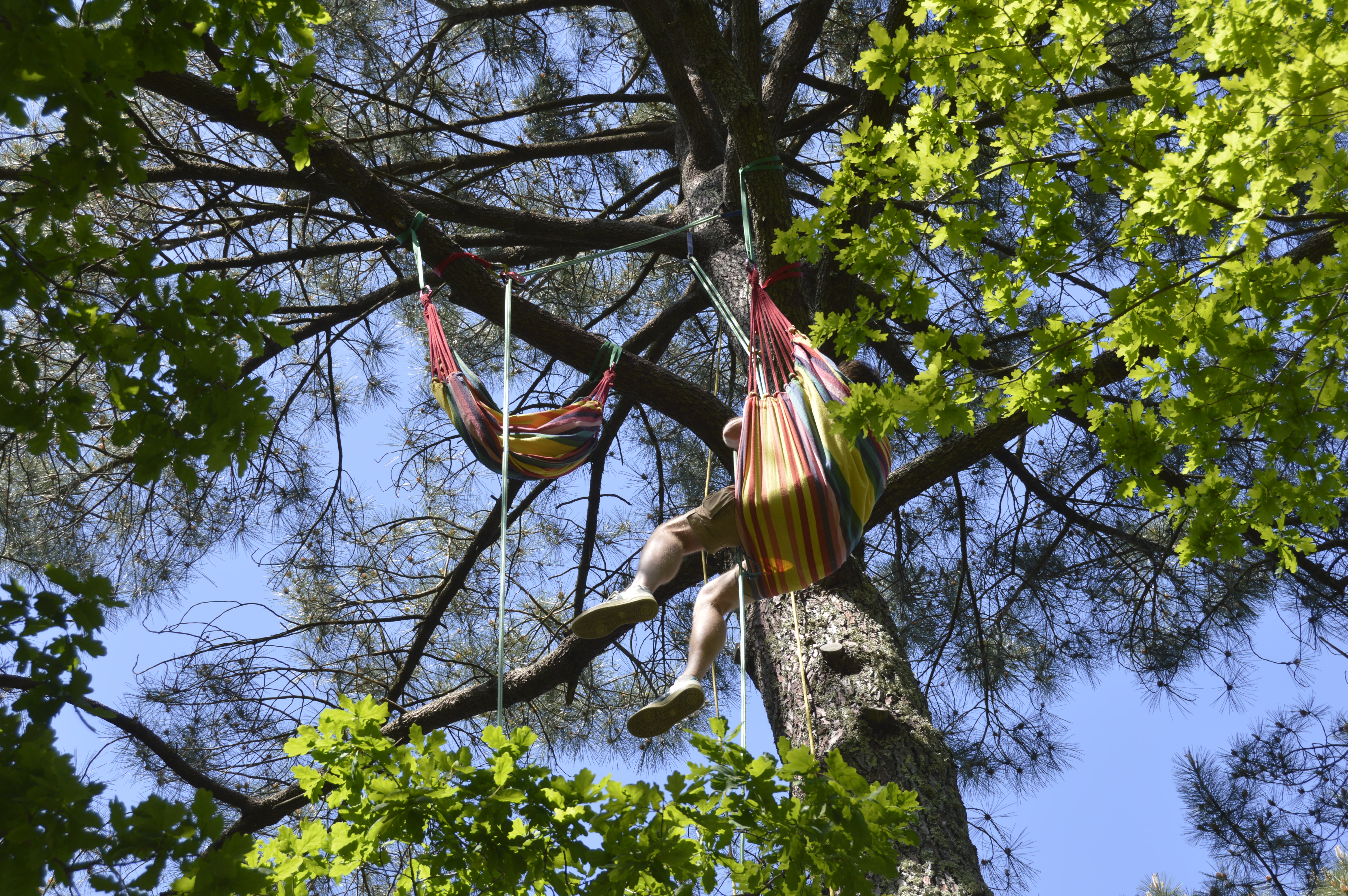 Grimpe d'Arbre, Sanguinet - photo 6