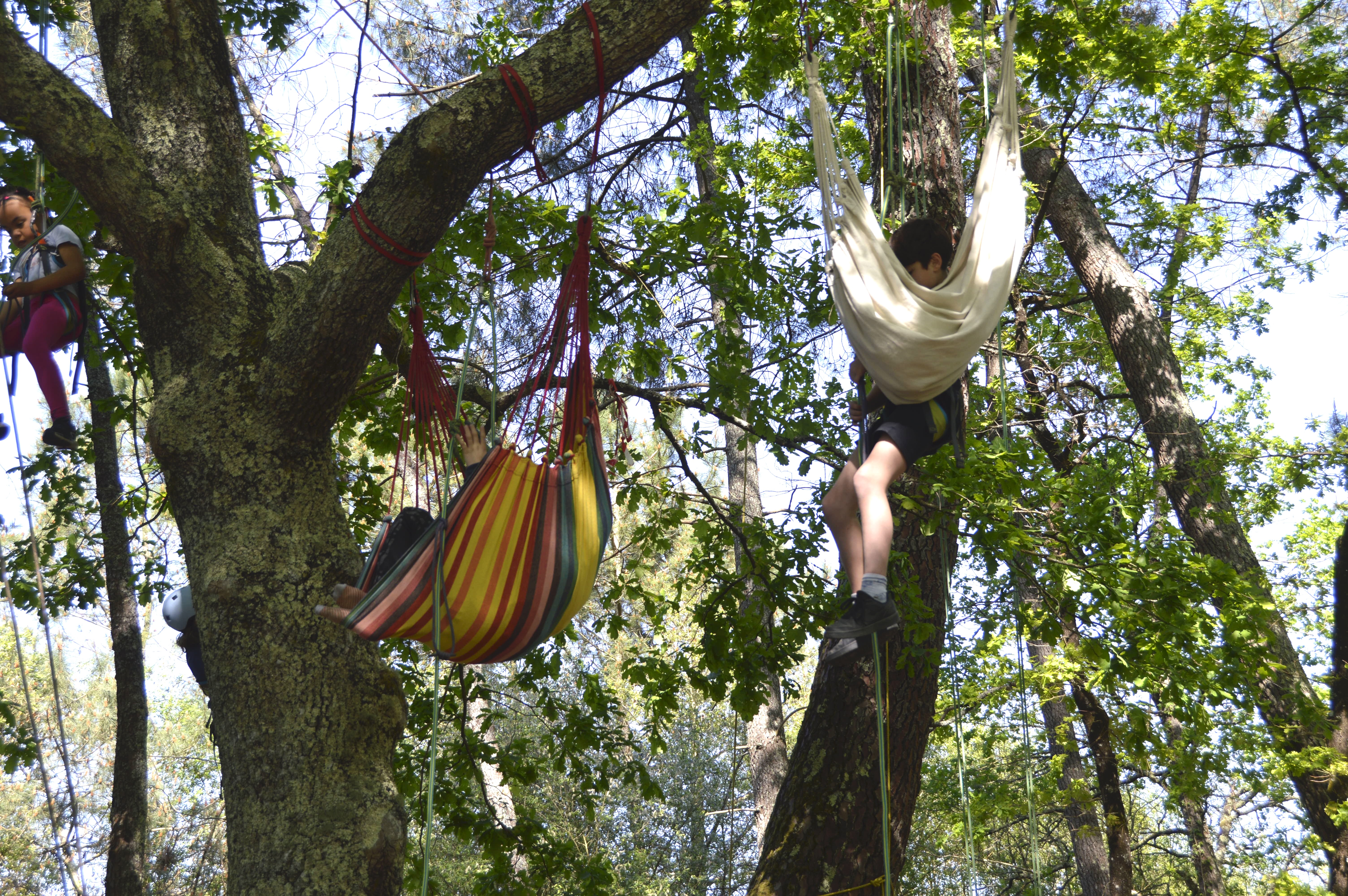 Grimpe d'Arbre, Sanguinet - photo 10