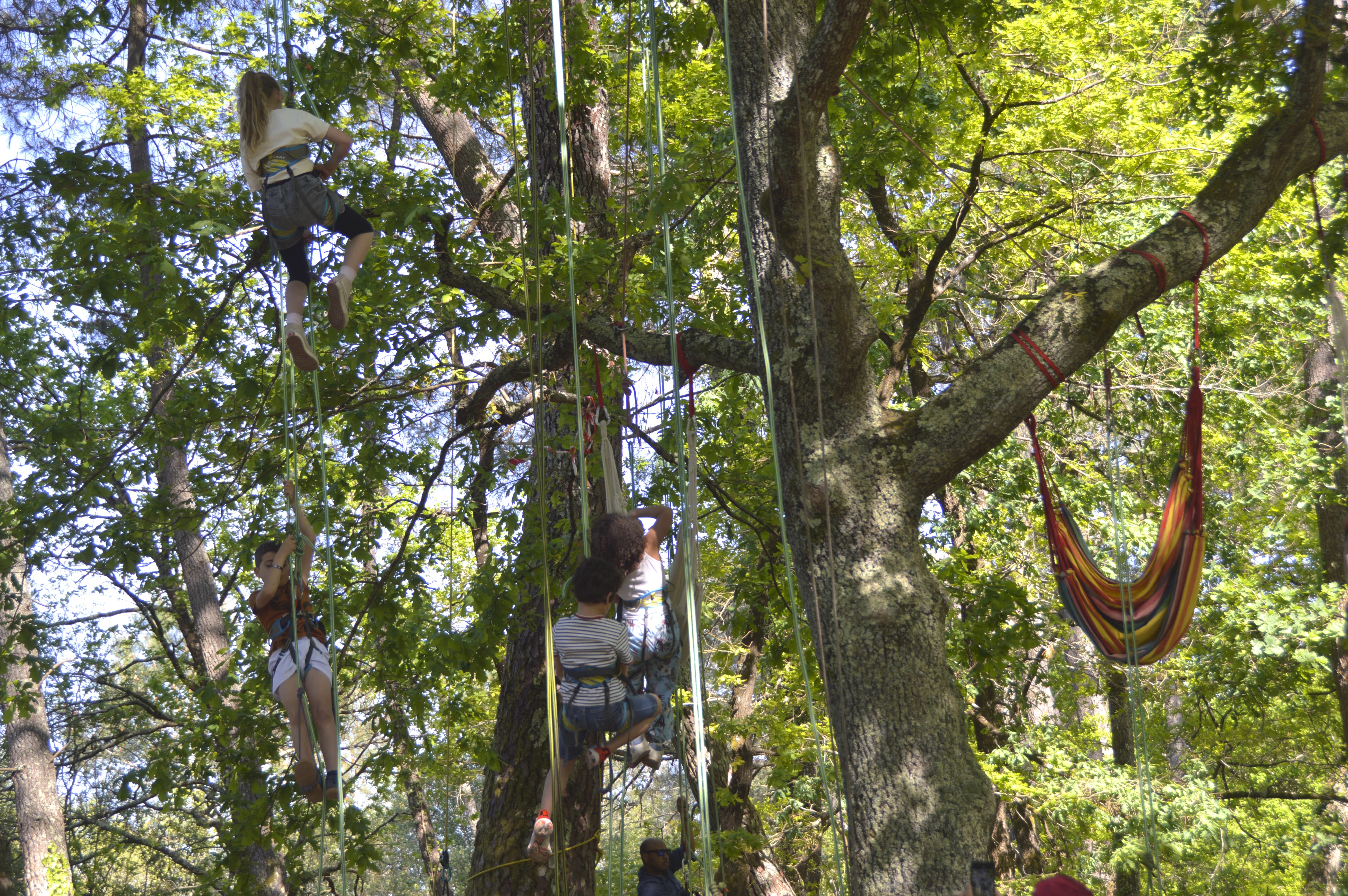 Grimpe d'Arbre, Sanguinet - photo 9
