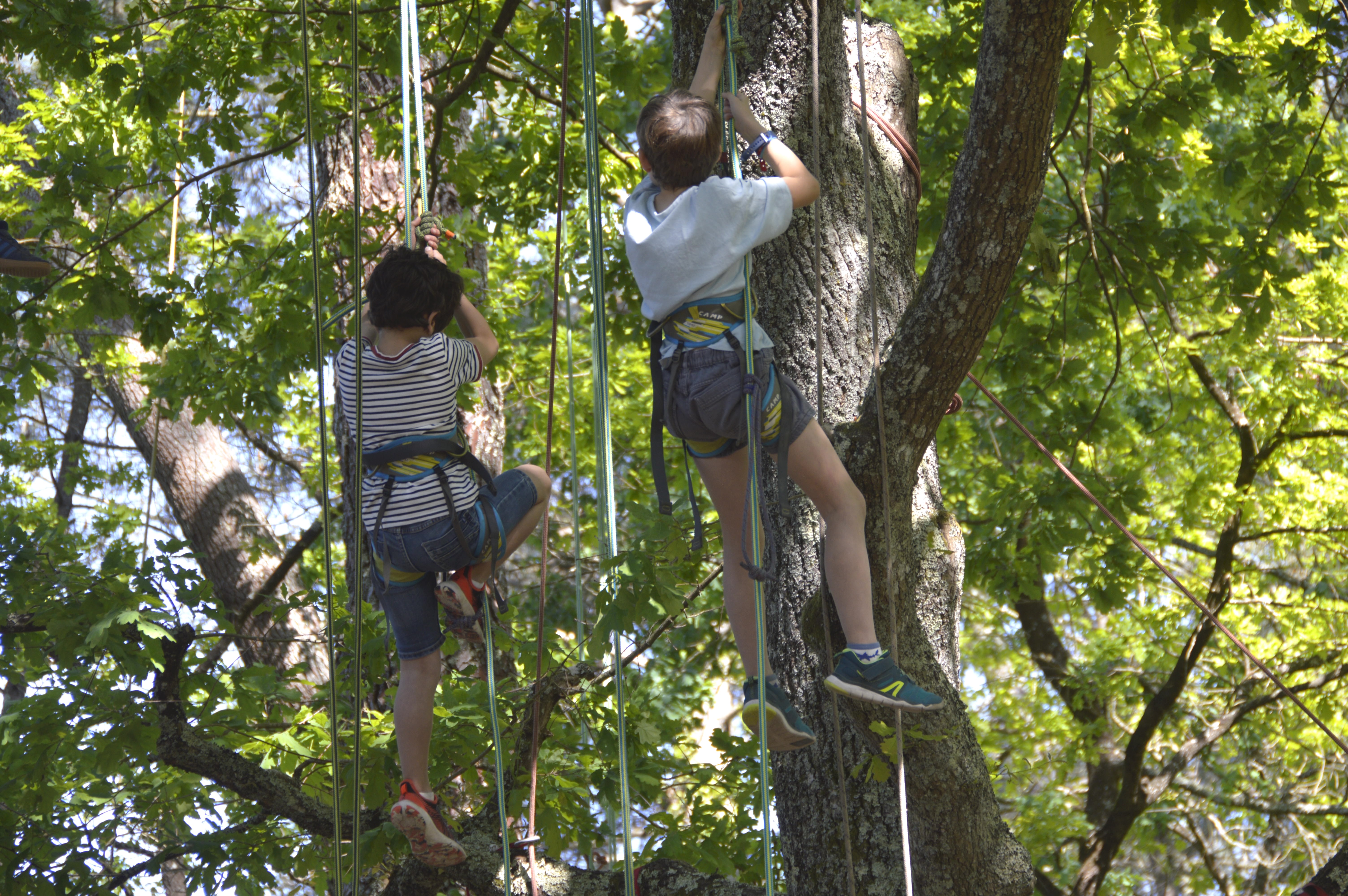 Grimpe d'Arbre, Sanguinet - photo 8