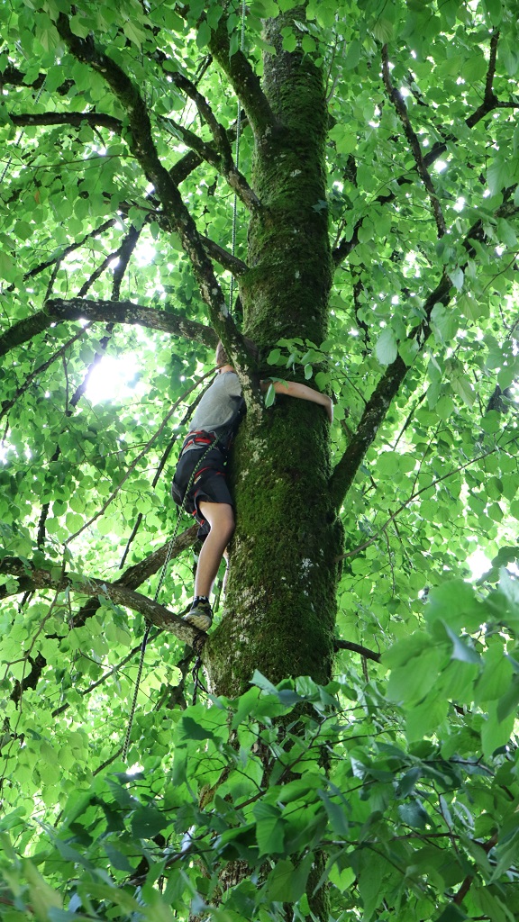 Grimpe d'arbres ou bivouac dans les arbres "L'hêtre agile" — photo 2