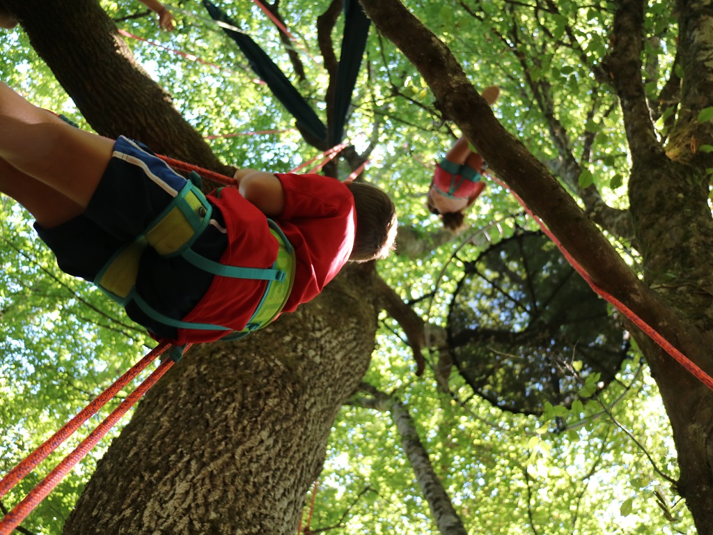 Grimpe d'arbres ou bivouac dans les arbres "L'hêtre agile"