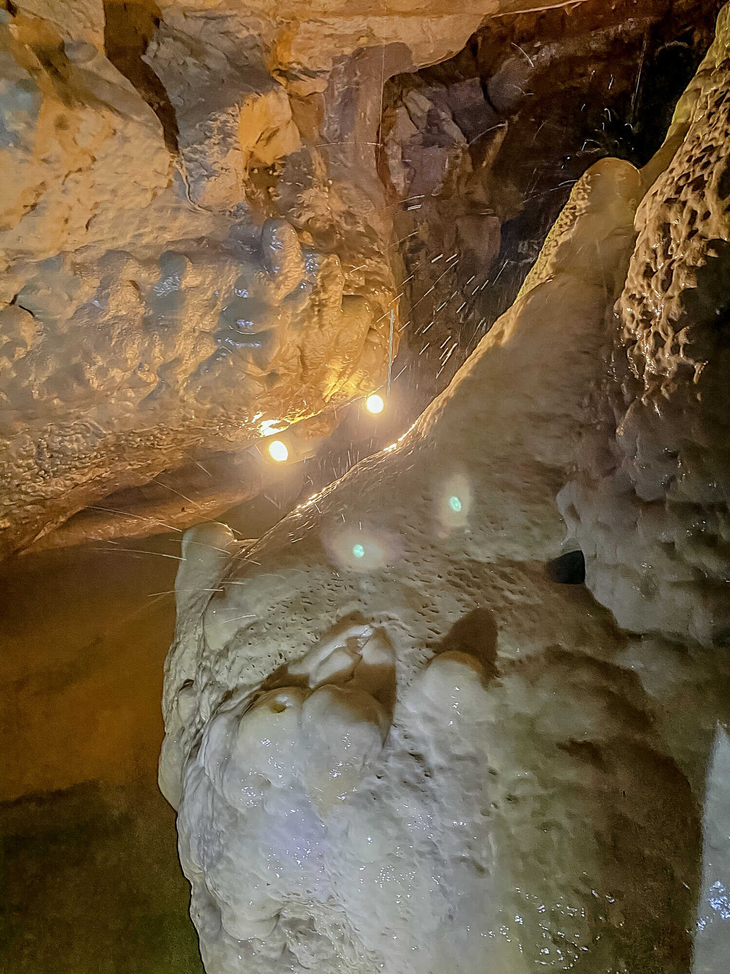 Grotte Célestine, Rauzan - photo 8