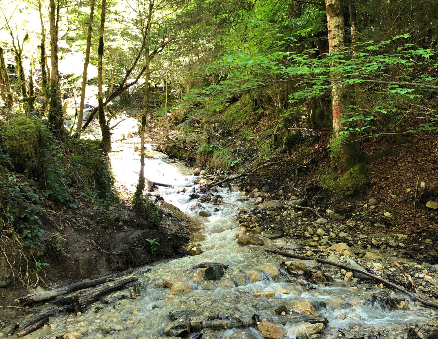 La Grotte des Eaux Chaudes — photo 2
